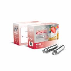 KREMA SİFONU TÜPÜ (10'LU)